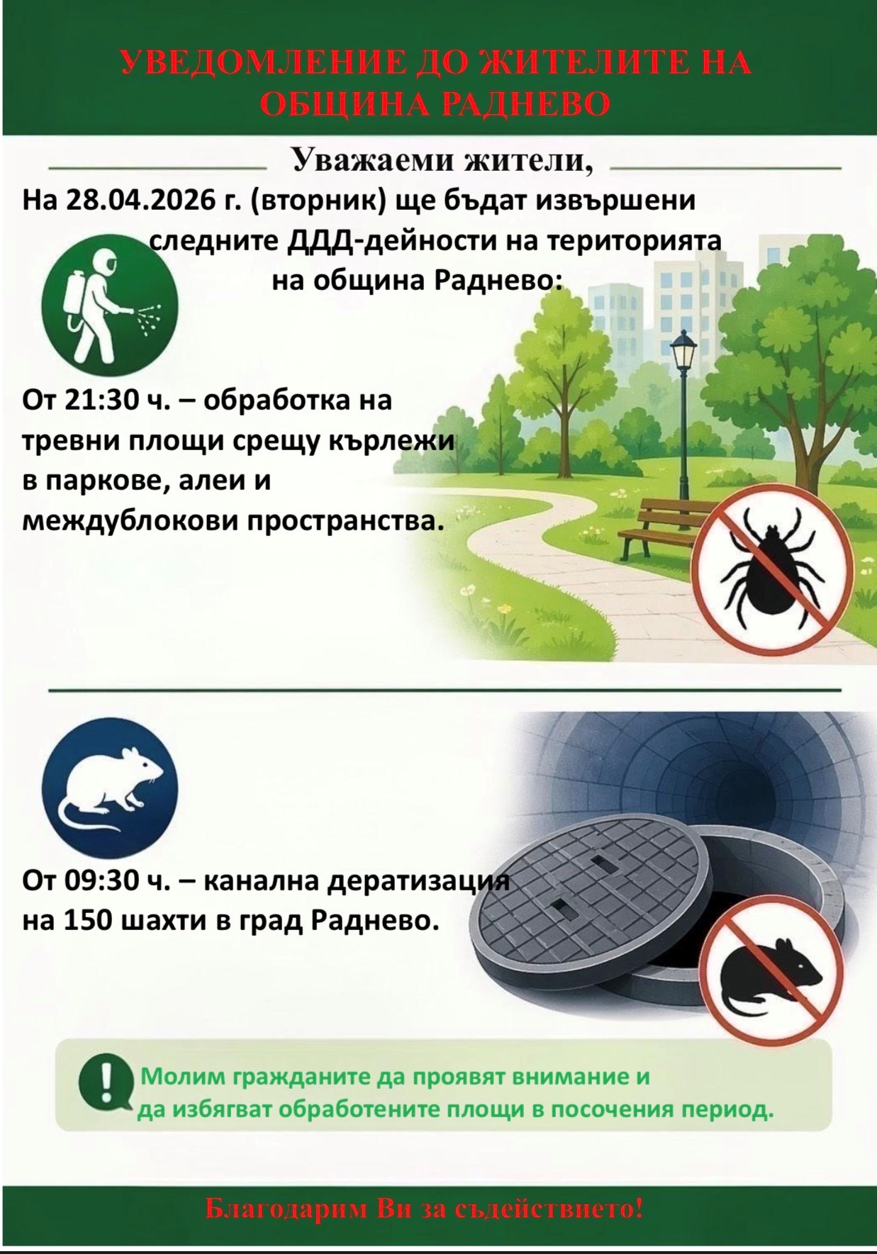 ддд обработка.jpg